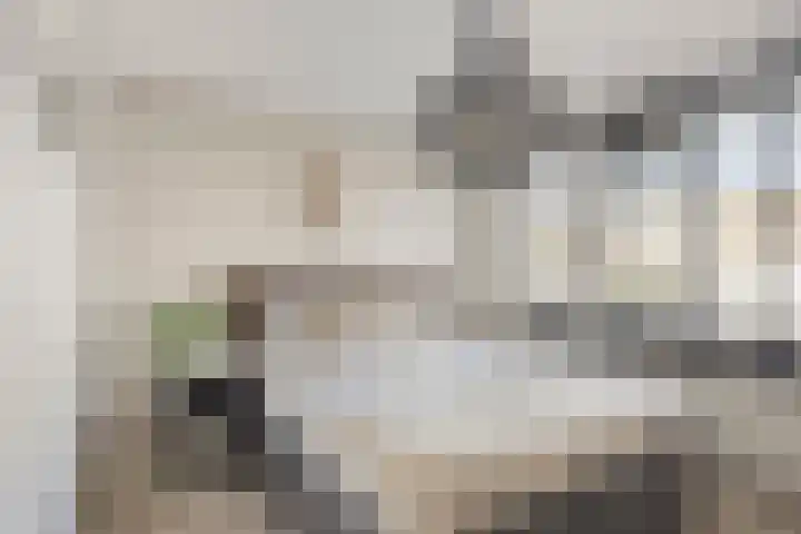 Hoepelakkerstraat 8 Someren thumbnail 21