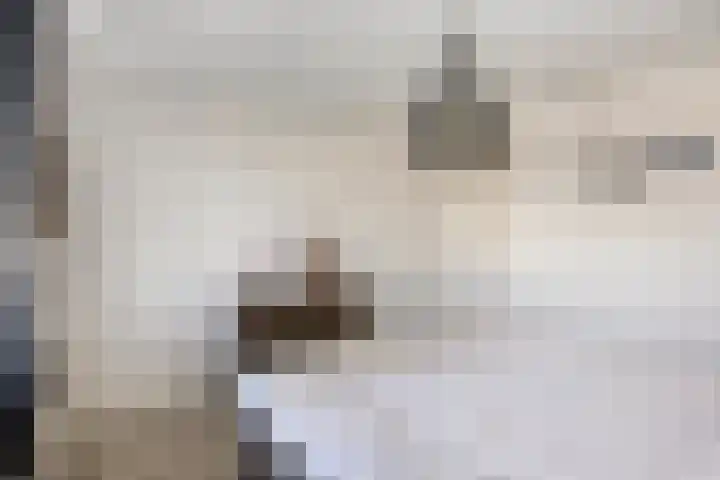 Hoepelakkerstraat 8 Someren thumbnail 22