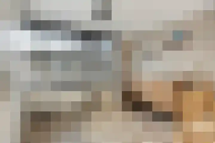 Hoepelakkerstraat 8 Someren thumbnail 23