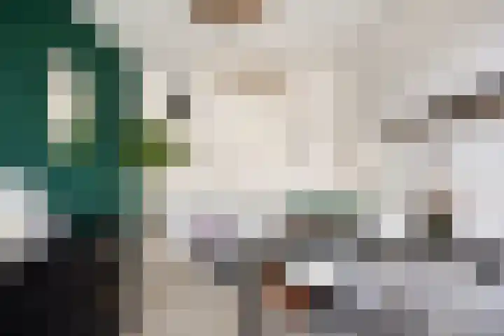 Hoepelakkerstraat 8 Someren thumbnail 26