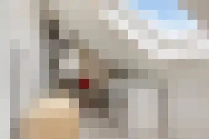 Hoepelakkerstraat 8 Someren thumbnail 32