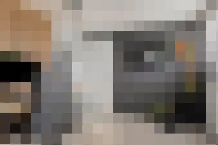 Hoepelakkerstraat 8 Someren thumbnail 34