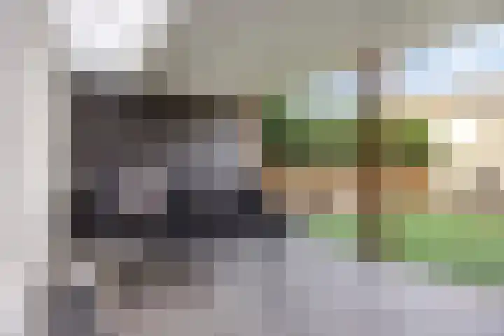 Hoepelakkerstraat 8 Someren thumbnail 36