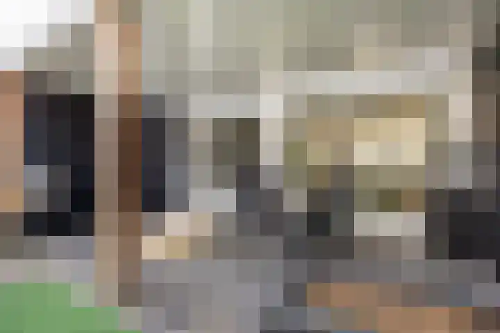 Hoepelakkerstraat 8 Someren thumbnail 37