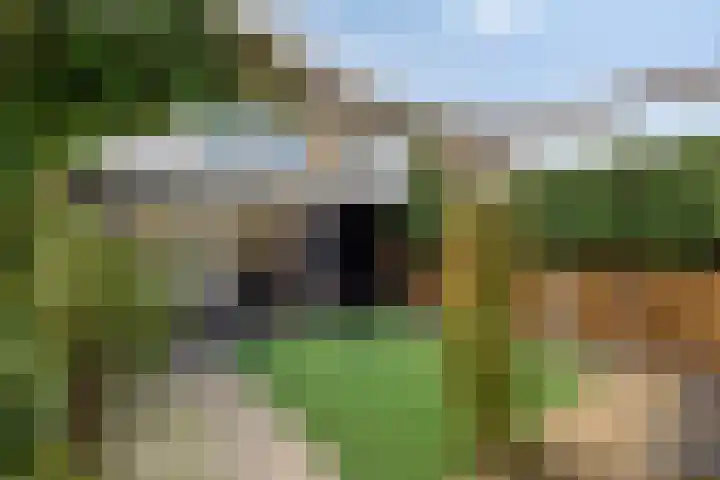 Hoepelakkerstraat 8 Someren thumbnail 41