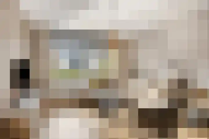 Hoepelakkerstraat 8 Someren thumbnail 9