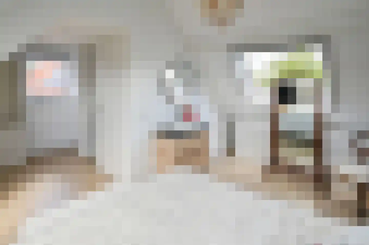 Hoepelbuigerslaan 10 Nederhorst den Berg thumbnail 27