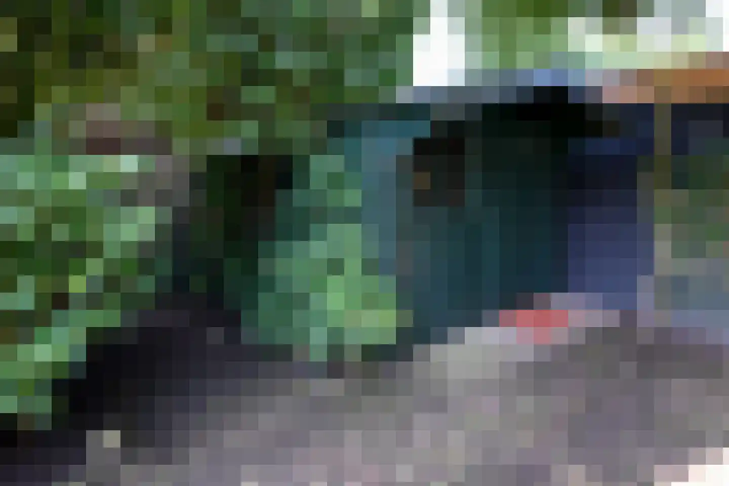 Hoepelbuigerslaan 10 Nederhorst den Berg thumbnail 34