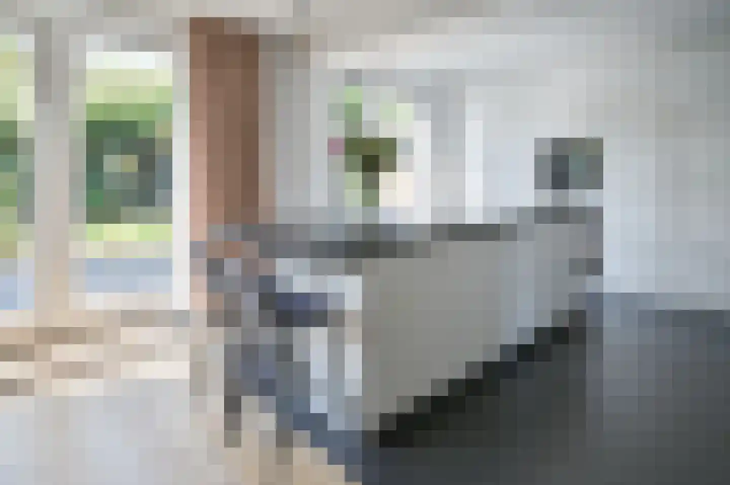 Hoepelbuigerslaan 10 Nederhorst den Berg thumbnail 7
