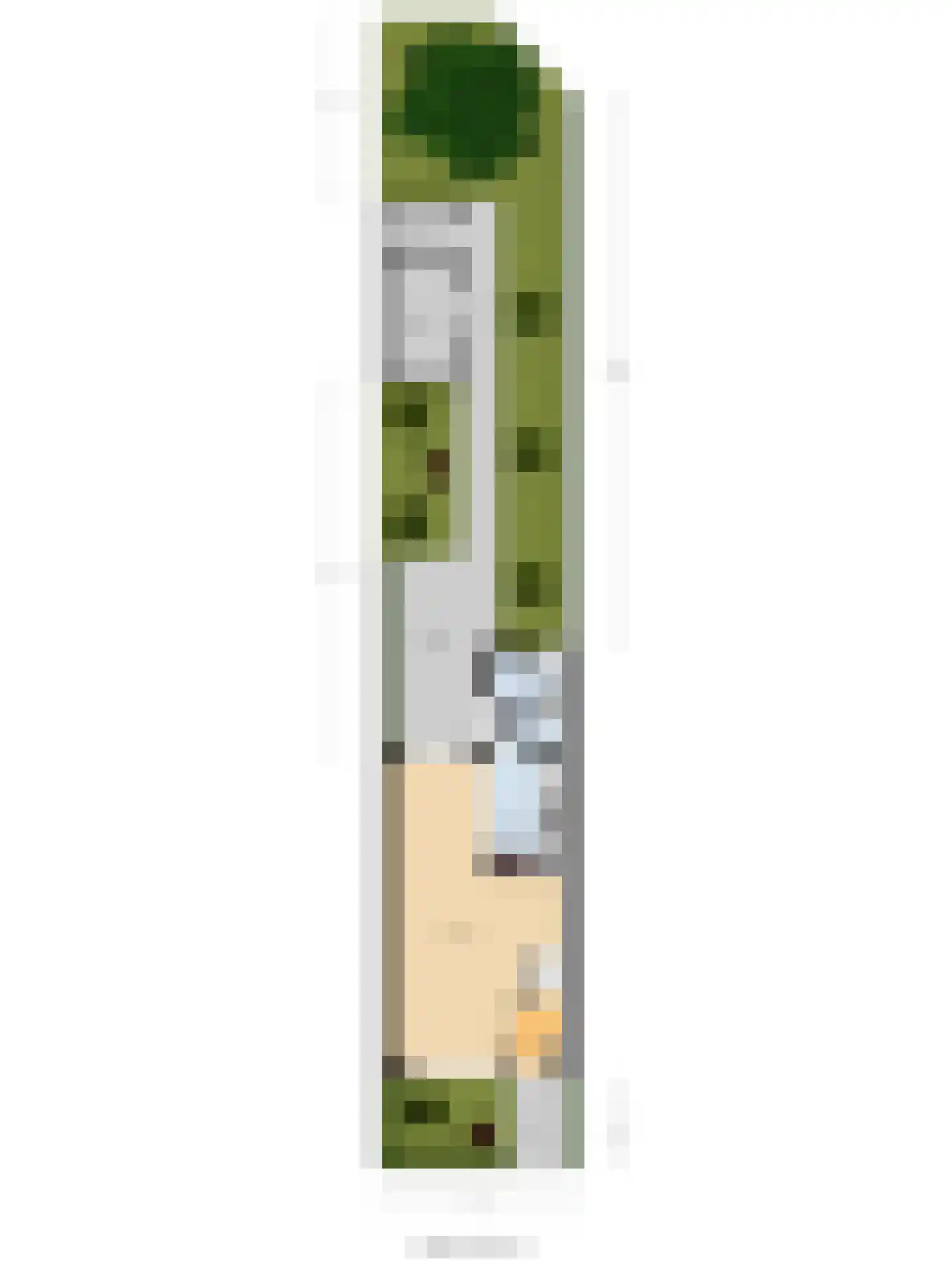 Hoepelmaker 6 Oud-Beijerland thumbnail 35
