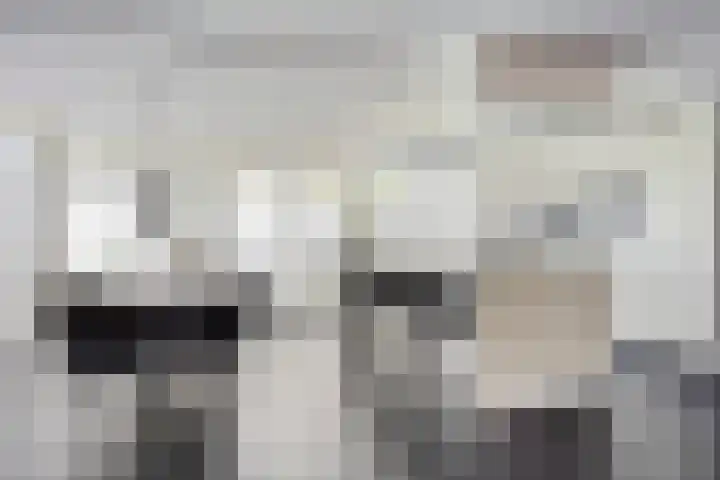 Hoepelstraat 15 Lage Zwaluwe thumbnail 13