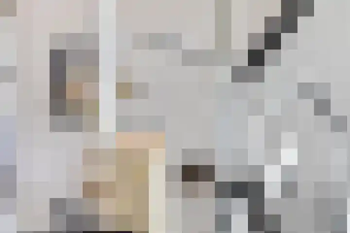 Hoepelstraat 15 Lage Zwaluwe thumbnail 15