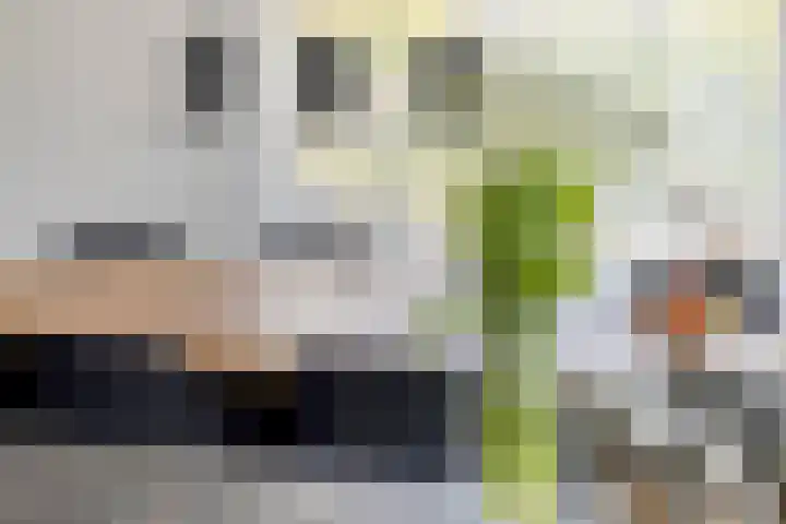 Hoepelstraat 15 Lage Zwaluwe thumbnail 17