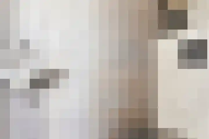 Hoepelstraat 15 Lage Zwaluwe thumbnail 20