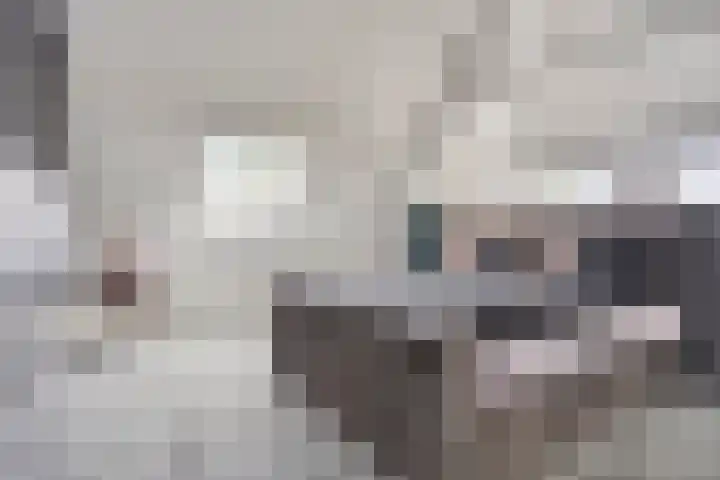 Hoepelstraat 15 Lage Zwaluwe thumbnail 22