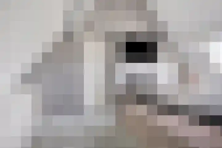 Hoepelstraat 15 Lage Zwaluwe thumbnail 23