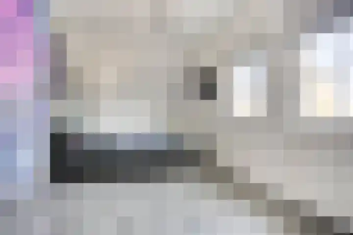 Hoepelstraat 15 Lage Zwaluwe thumbnail 29
