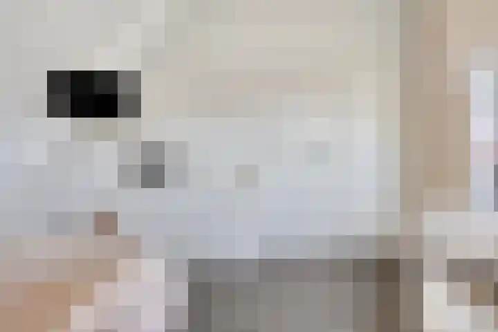 Hoepelstraat 15 Lage Zwaluwe thumbnail 32