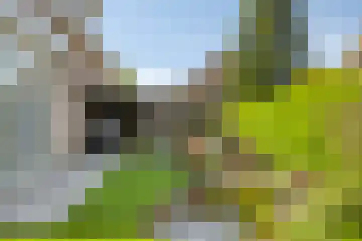 Hoepelstraat 15 Lage Zwaluwe thumbnail 39