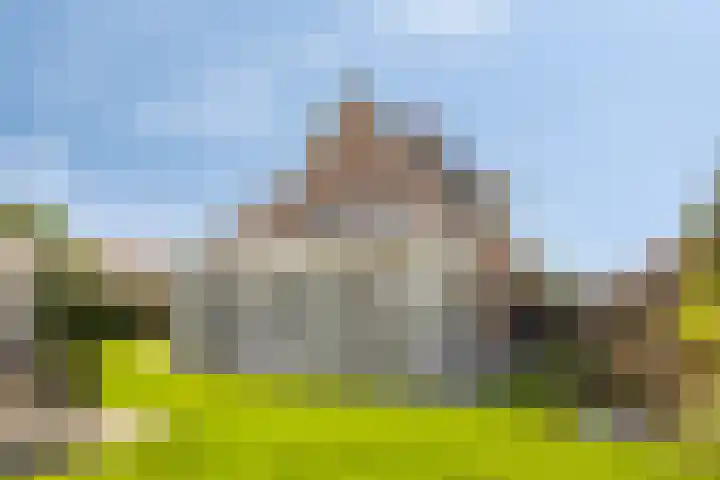 Hoepelstraat 15 Lage Zwaluwe thumbnail 42