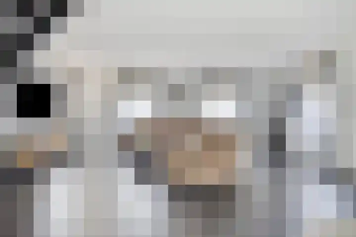 Hoepelstraat 15 Lage Zwaluwe thumbnail 5