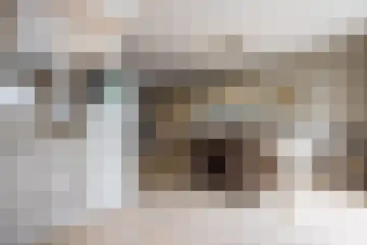 Hoepmaker 14 Papendrecht thumbnail 10