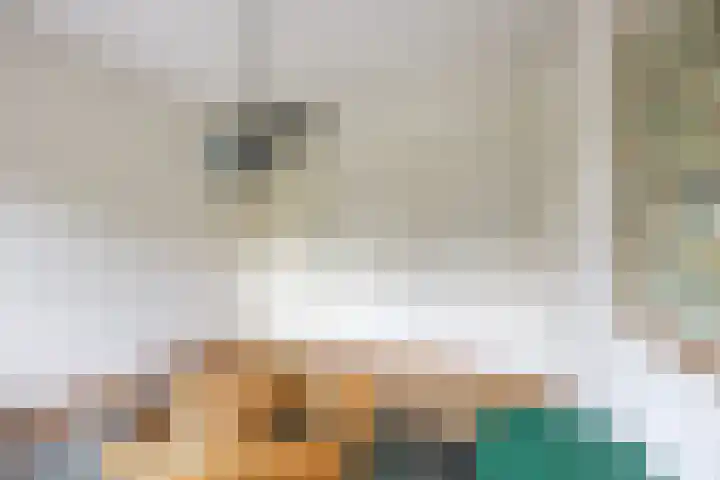 Hoepmaker 14 Papendrecht thumbnail 27