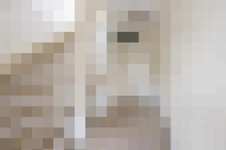 Hoepmaker 14 Papendrecht thumbnail 28