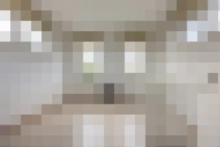Hoepmaker 14 Papendrecht thumbnail 31