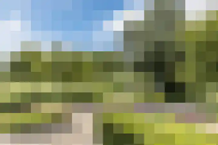 Hoepmaker 14 Papendrecht thumbnail 35