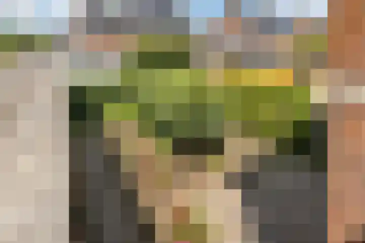 Hoepmaker 14 Papendrecht thumbnail 36