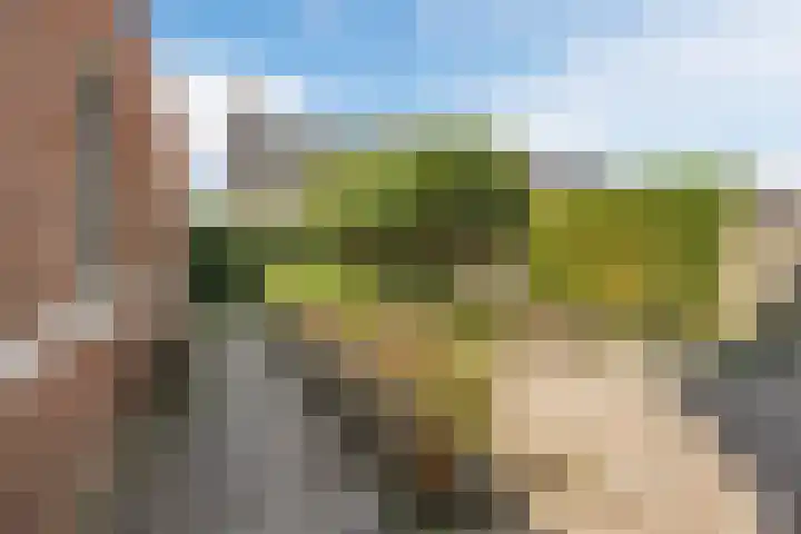 Hoepmaker 14 Papendrecht thumbnail 38