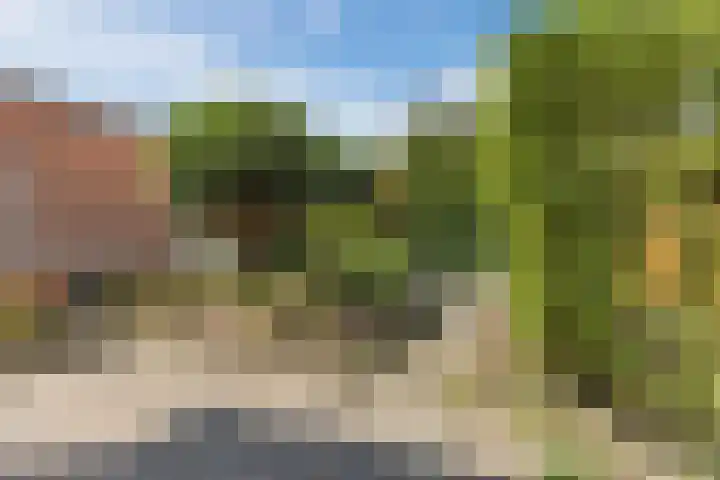 Hoepmaker 14 Papendrecht thumbnail 39