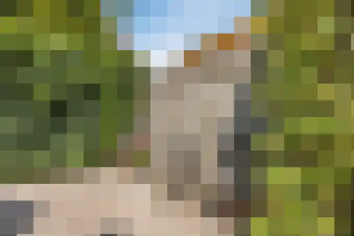 Hoepmaker 14 Papendrecht thumbnail 40