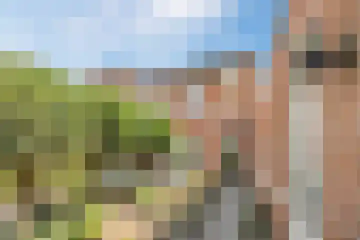 Hoepmaker 14 Papendrecht thumbnail 42