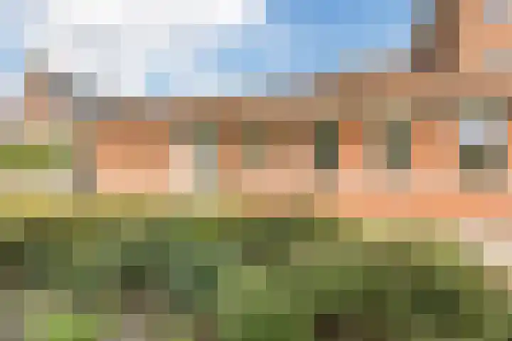 Hoepmaker 14 Papendrecht thumbnail 45