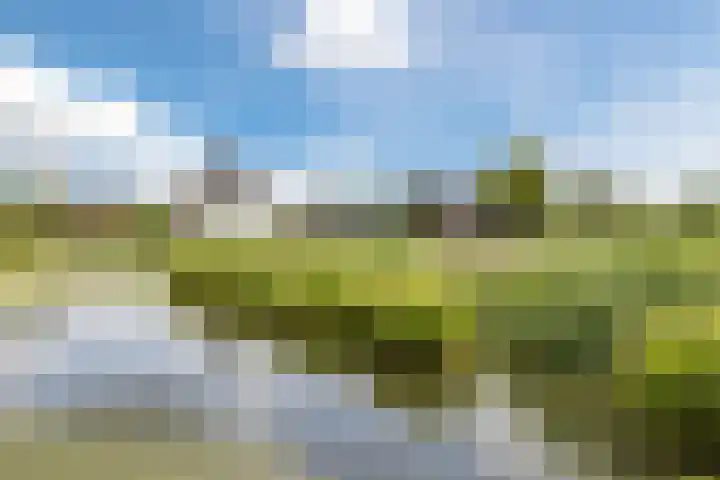 Hoepmaker 14 Papendrecht thumbnail 49
