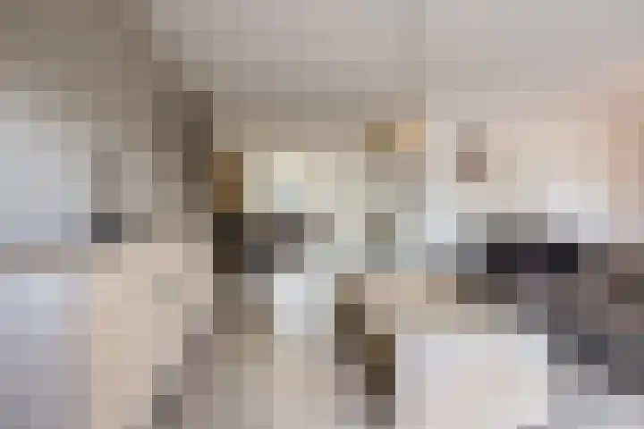 Hoepmaker 14 Papendrecht thumbnail 5