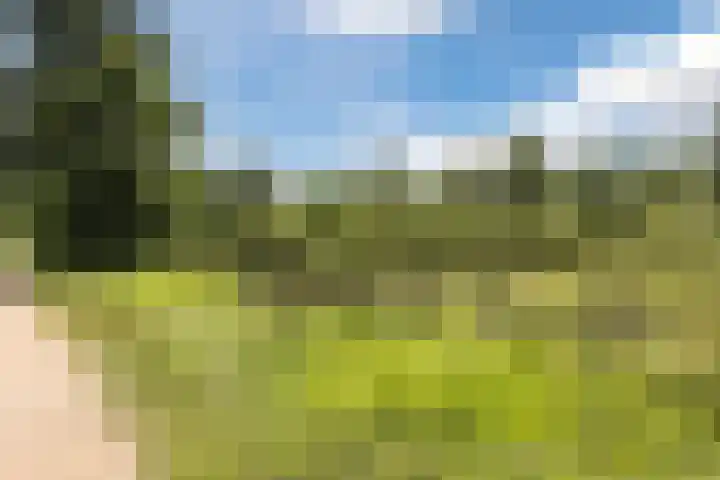 Hoepmaker 14 Papendrecht thumbnail 50