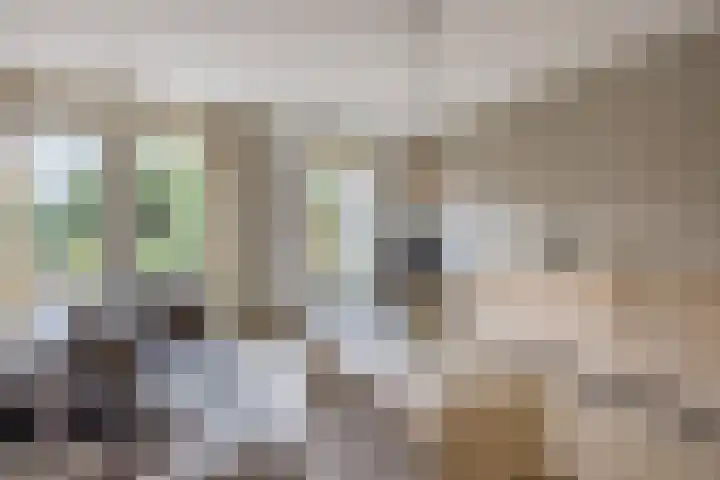 Hoepmaker 14 Papendrecht thumbnail 6