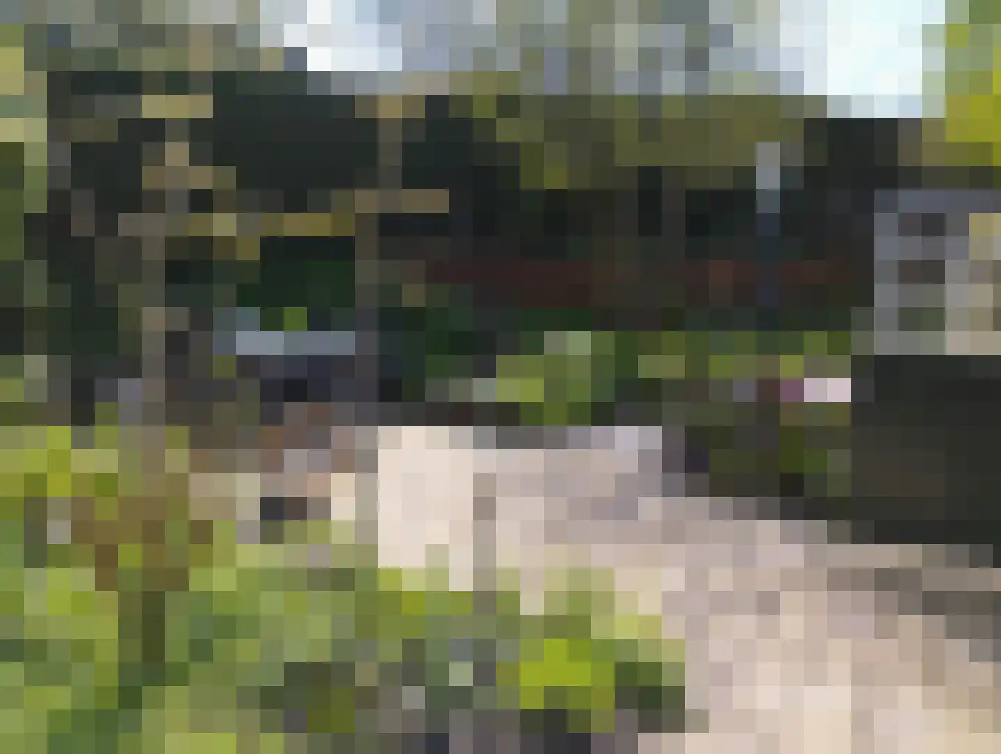 Hoepmakerspad 2 Hardinxveld-Giessendam thumbnail 18