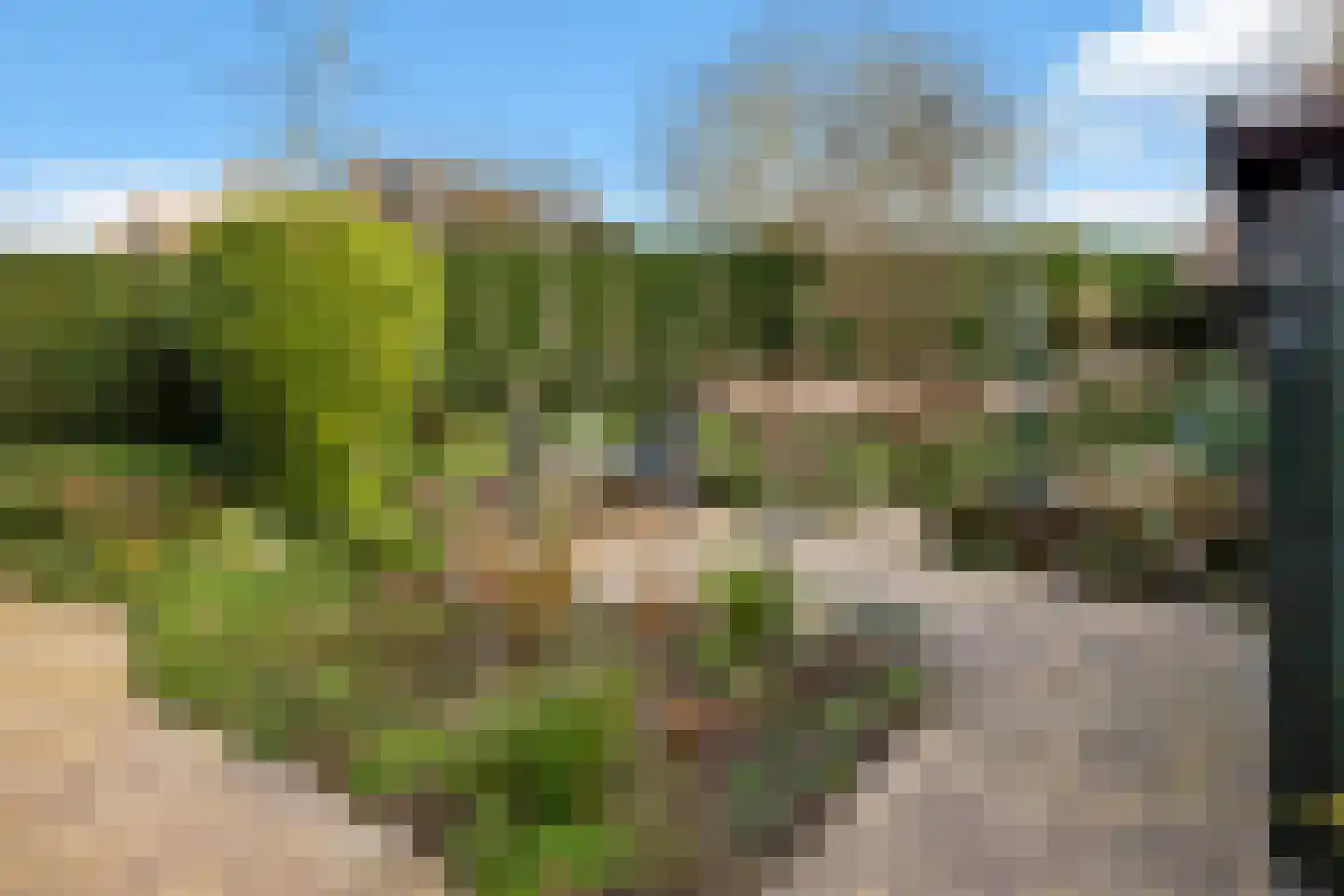 Hoepmakerspad 2 Hardinxveld-Giessendam thumbnail 21