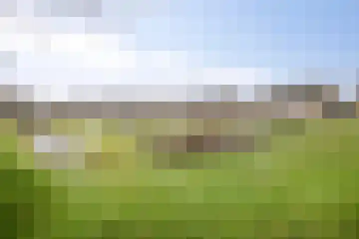 Hoepmakerspad 6 Hardinxveld-Giessendam thumbnail 22