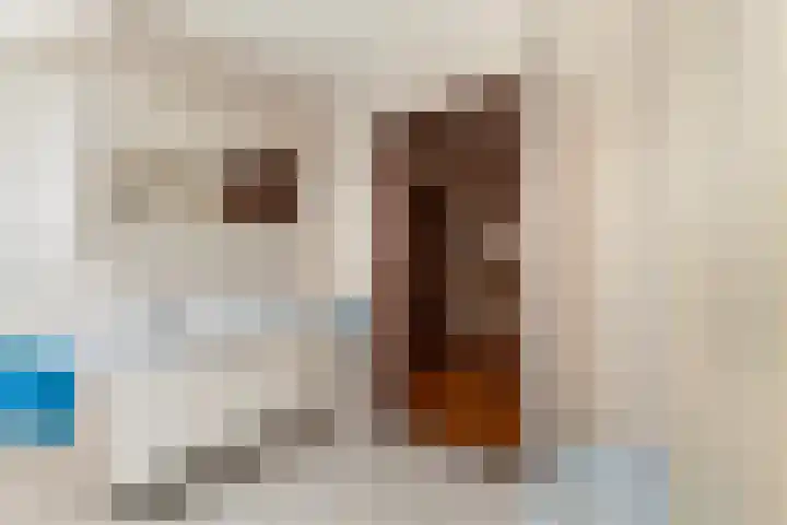 Hoepmakerspad 6 Hardinxveld-Giessendam thumbnail 30
