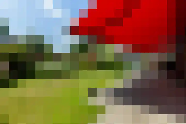 Hoepmakerspad 6 Hardinxveld-Giessendam thumbnail 33