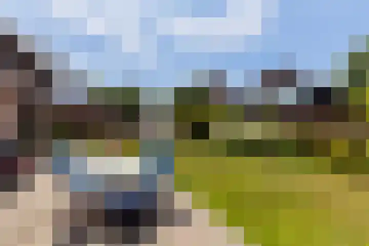 Hoepmakerspad 6 Hardinxveld-Giessendam thumbnail 34