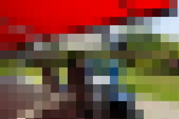 Hoepmakerspad 6 Hardinxveld-Giessendam thumbnail 35