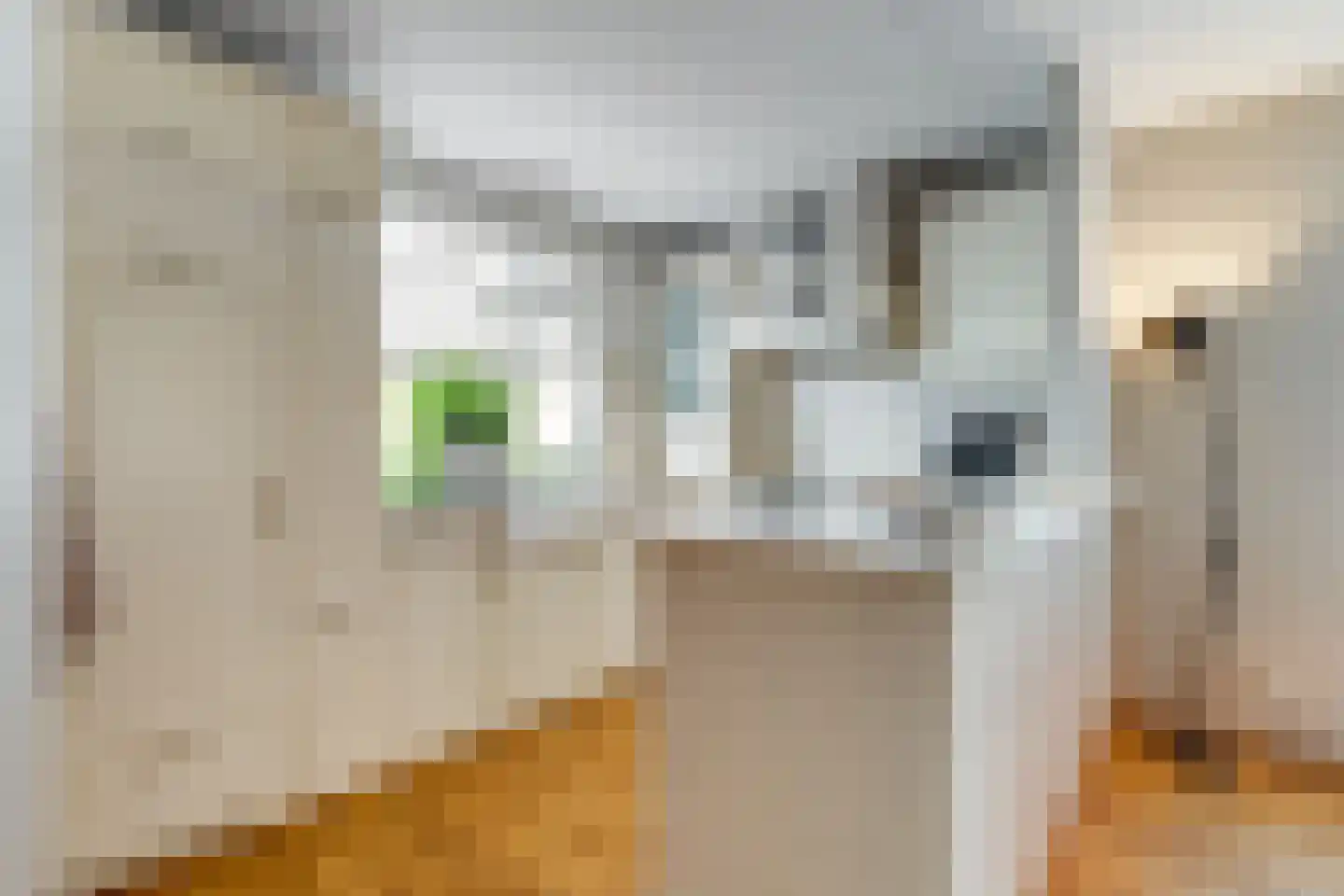 Hoepmakersstraat 13 Ameide thumbnail 13