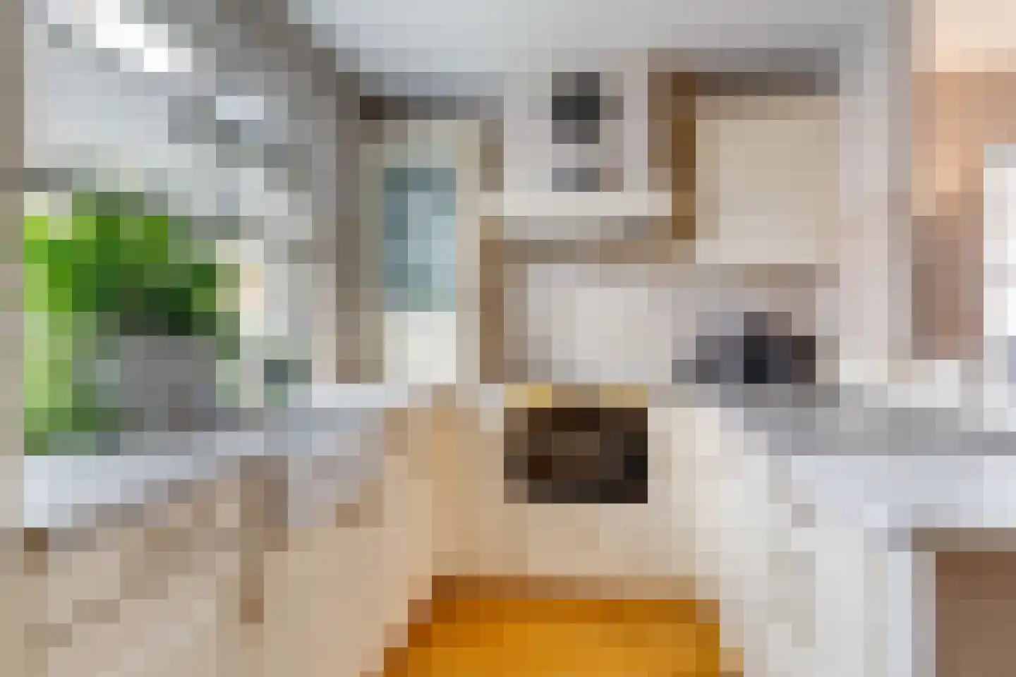 Hoepmakersstraat 13 Ameide thumbnail 14