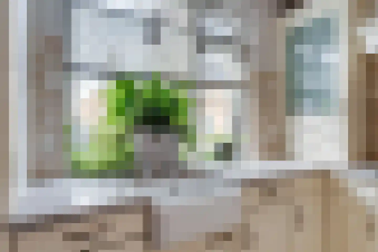 Hoepmakersstraat 13 Ameide thumbnail 15